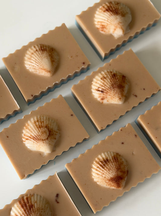 Artisan Goat Milk Soap | Collecting Seashells