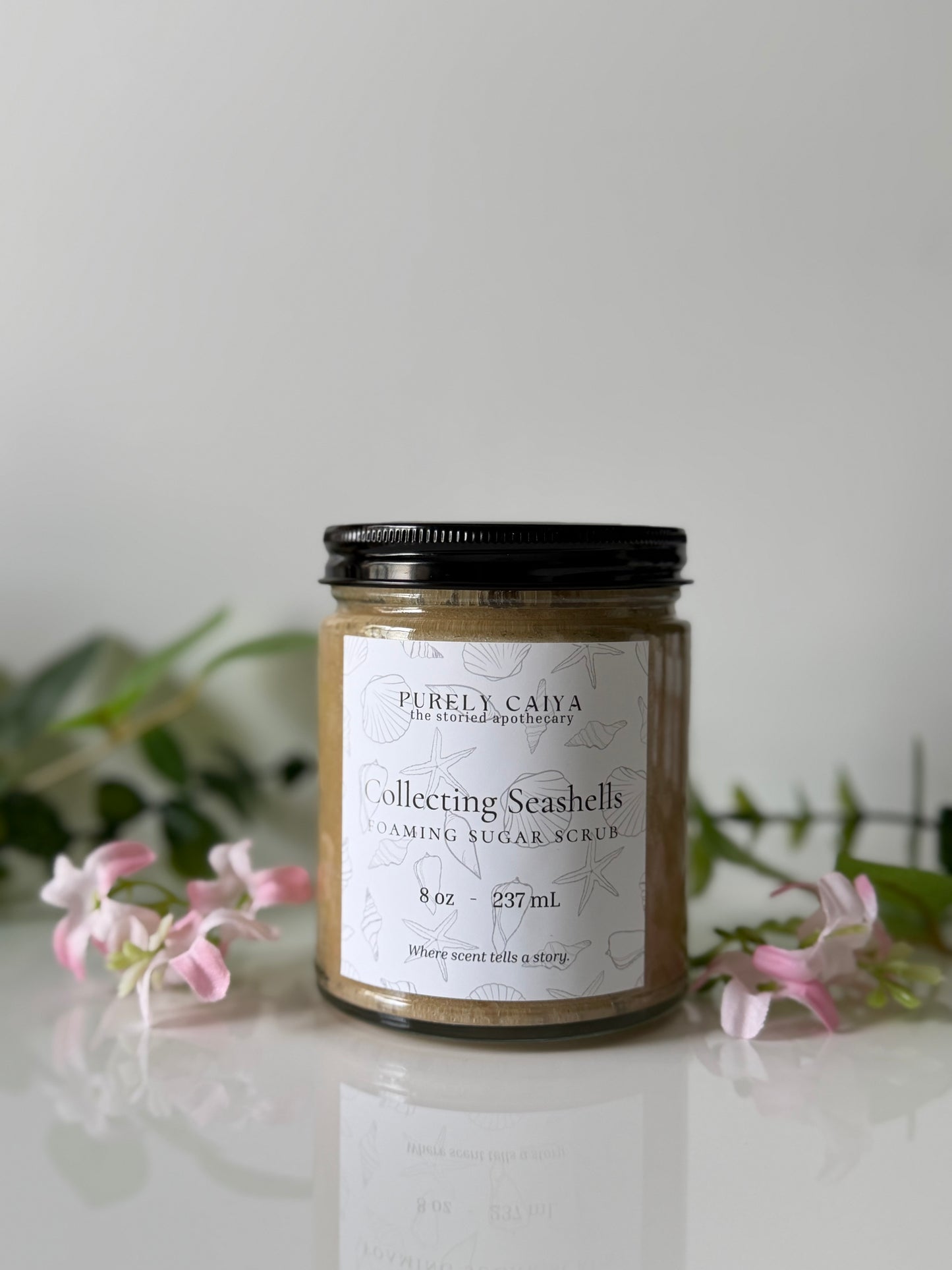 Collecting Seashells | Foaming Sugar Scrub