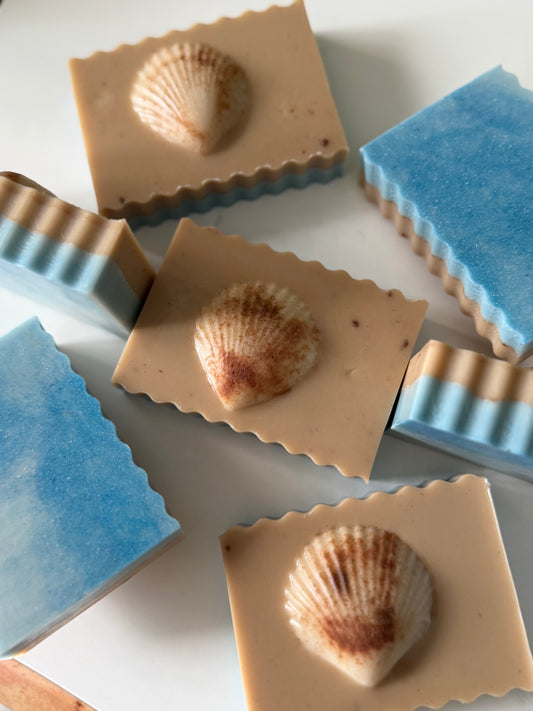 Artisan Goat Milk Soap | Collecting Seashells