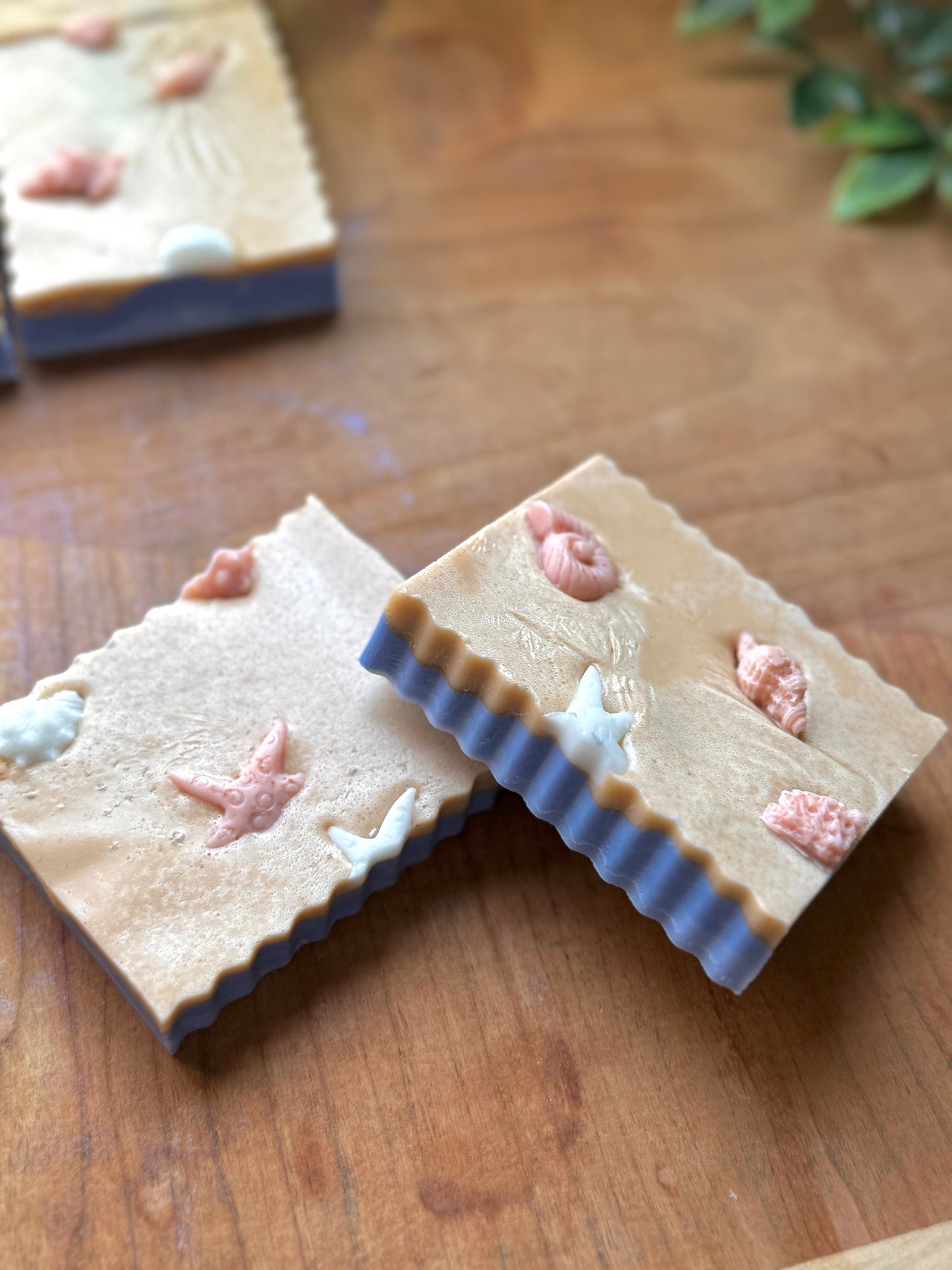 Goat Milk Soap Bar | Summer Collection | Ocean Side